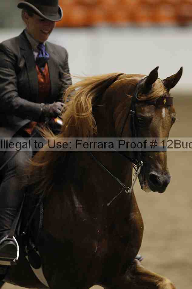 Proof 12buck_6137