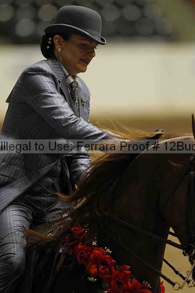 Proof 12buck_6141