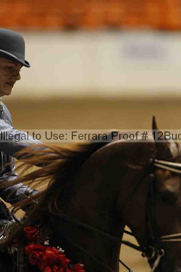 Proof 12buck_6142