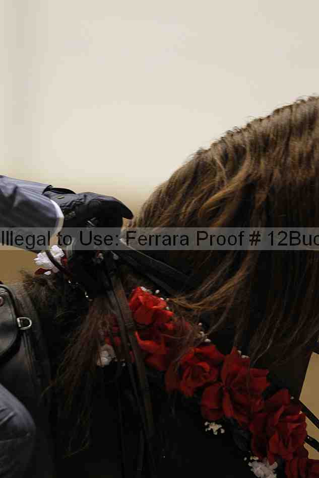Proof 12buck_6146