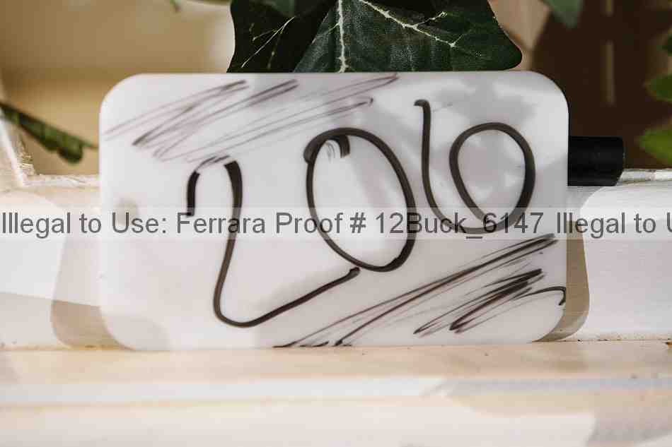 Proof 12buck_6147