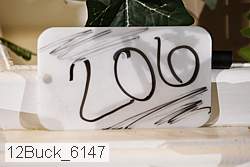 12buck_6147 proof