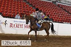 12buck_6151 proof