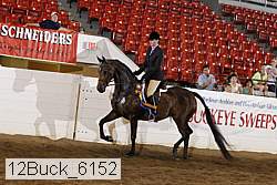 12buck_6152 proof