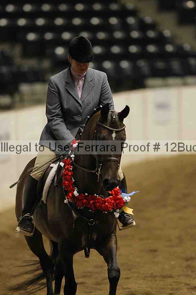 Proof 12buck_6154