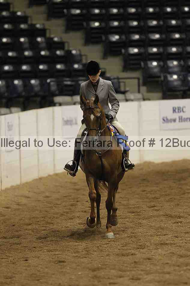 Proof 12buck_6156