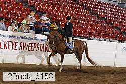 12buck_6158 proof
