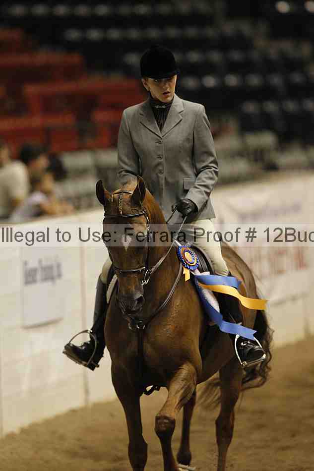 Proof 12buck_6159