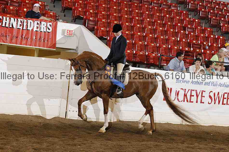 Proof 12buck_6160