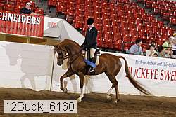 12buck_6160 proof