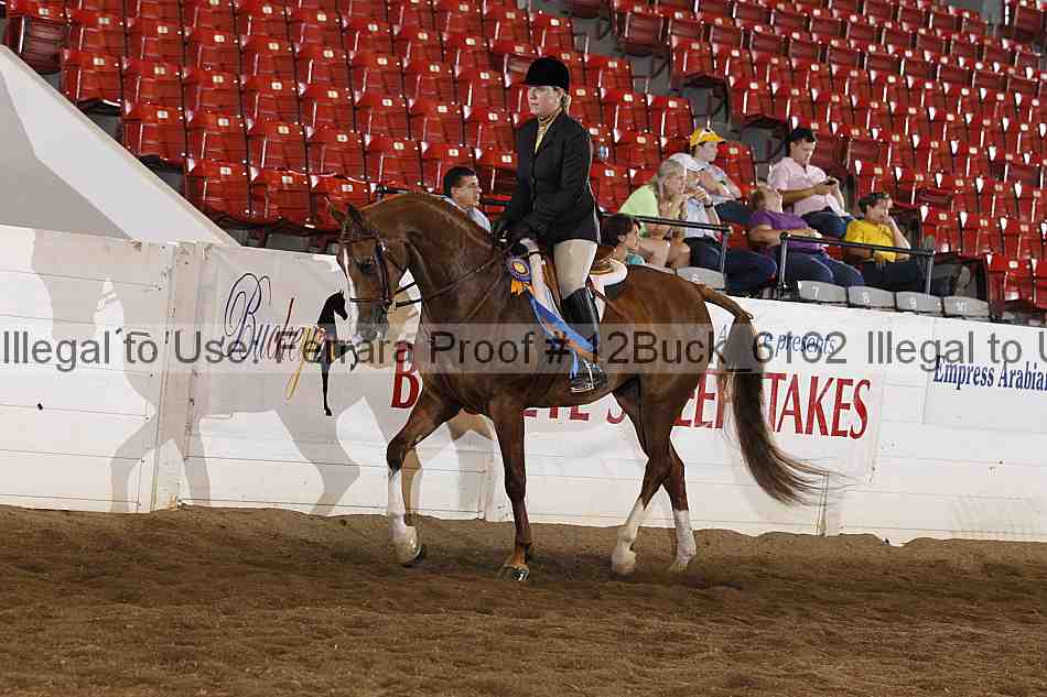 Proof 12buck_6162