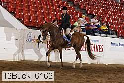 12buck_6162 proof