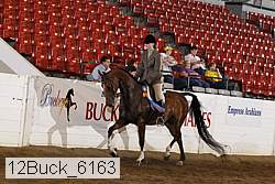 12buck_6163 proof