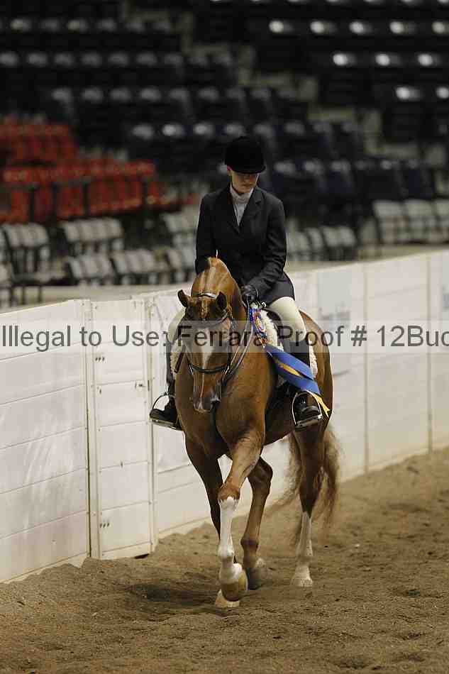 Proof 12buck_6169