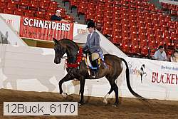 12buck_6170 proof
