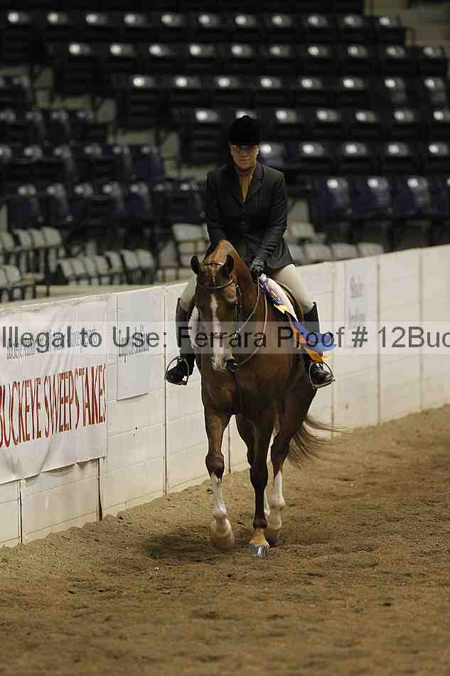 Proof 12buck_6172
