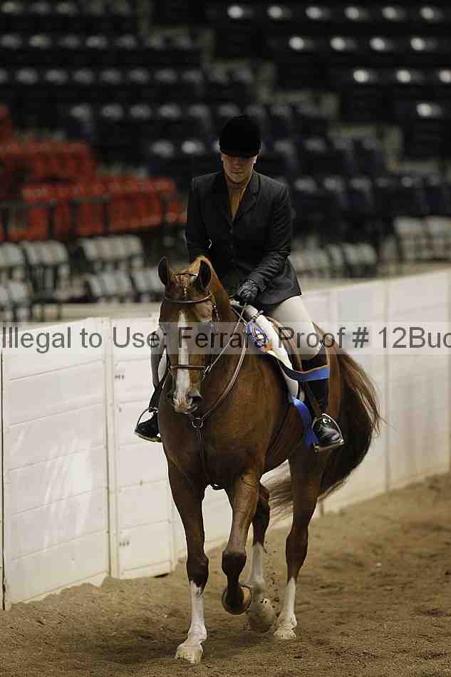 Proof 12buck_6173