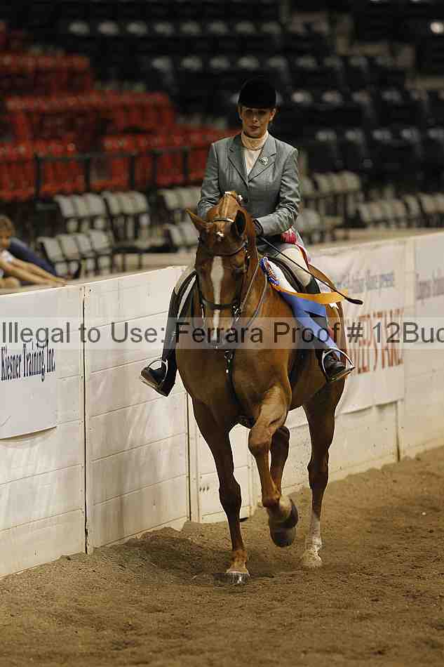 Proof 12buck_6179