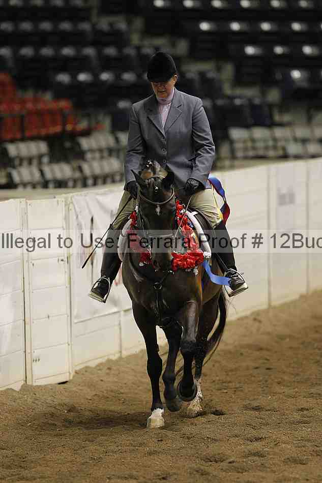 Proof 12buck_6181