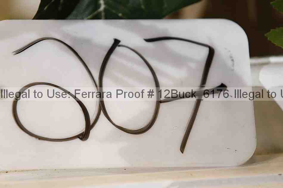 Proof 12buck_6176