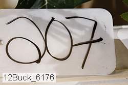 12buck_6176 proof