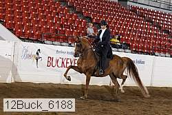12buck_6188 proof