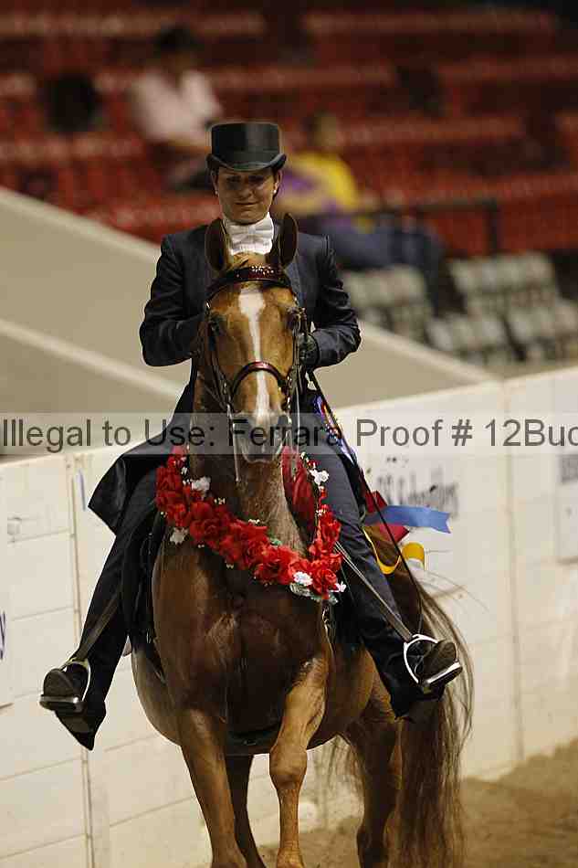 Proof 12buck_6189