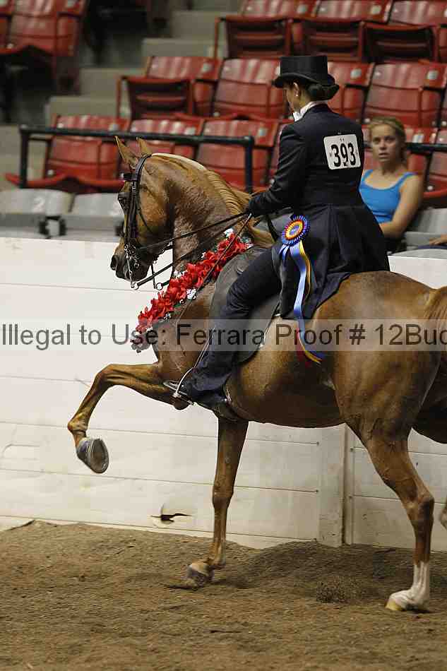 Proof 12buck_6191