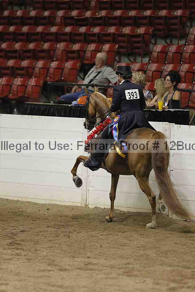 Proof 12buck_6193