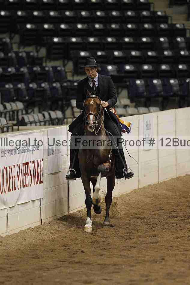 Proof 12buck_6194