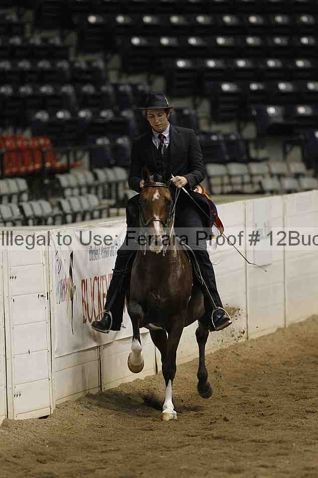 Proof 12buck_6195