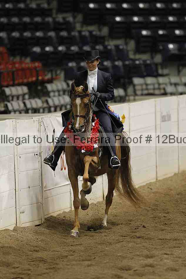 Proof 12buck_6197