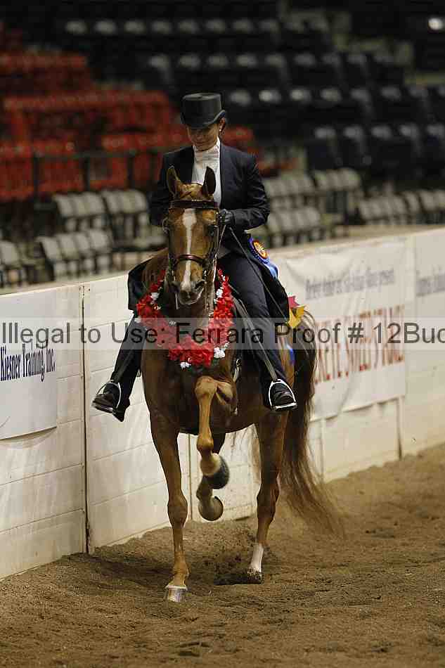 Proof 12buck_6198