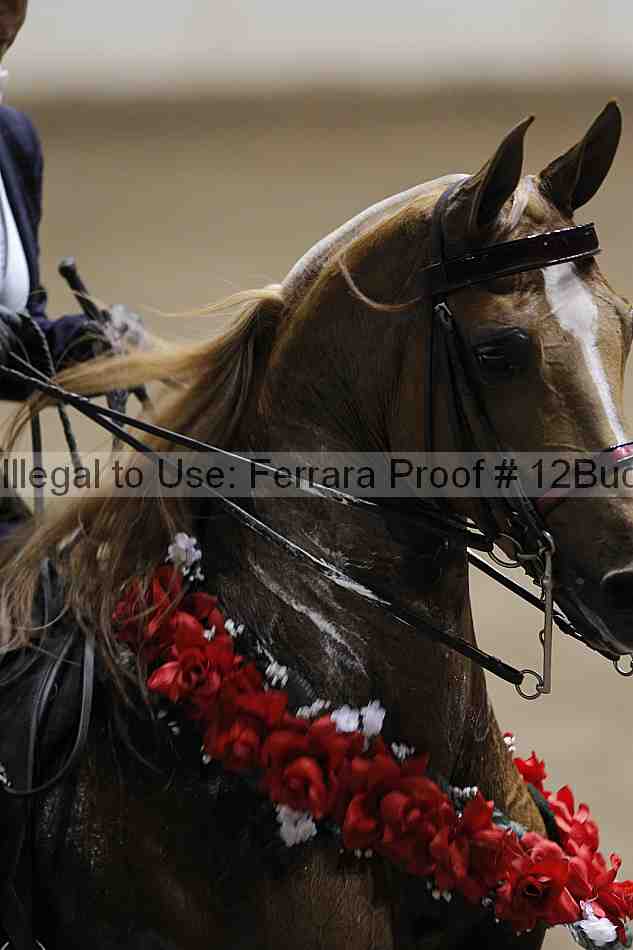 Proof 12buck_6201