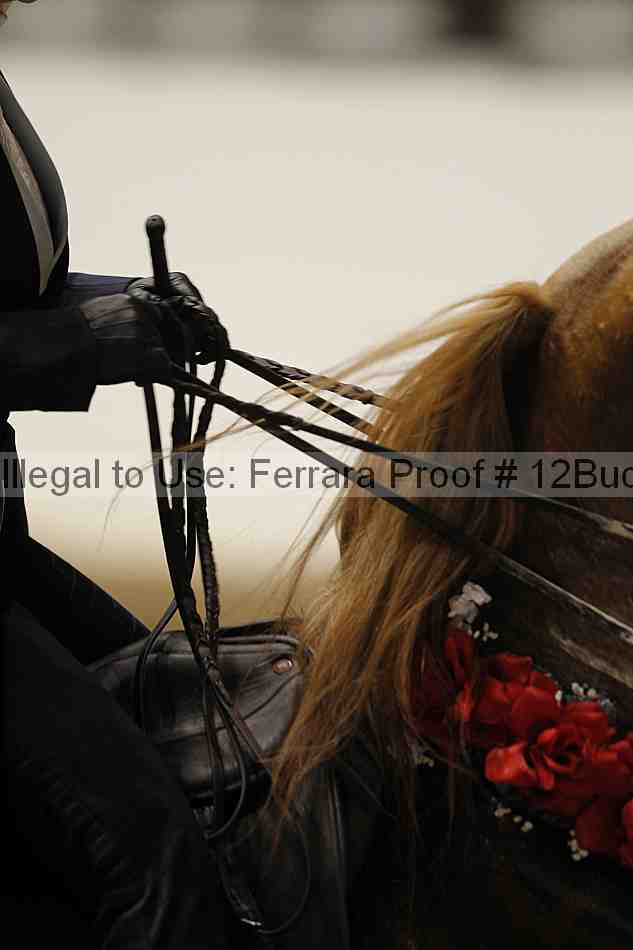 Proof 12buck_6202