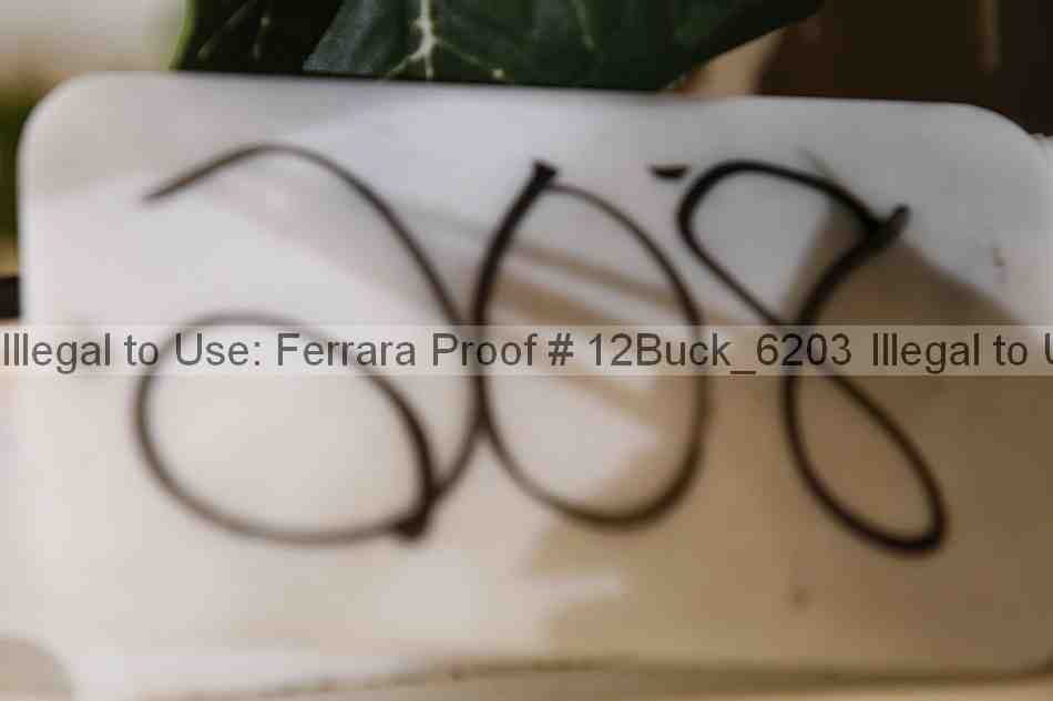 Proof 12buck_6203