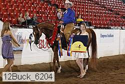 12buck_6204 proof