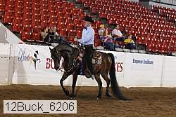12buck_6206 proof