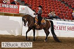 12buck_6207 proof