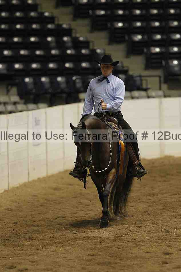Proof 12buck_6209