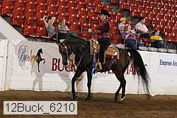 12buck_6210 proof