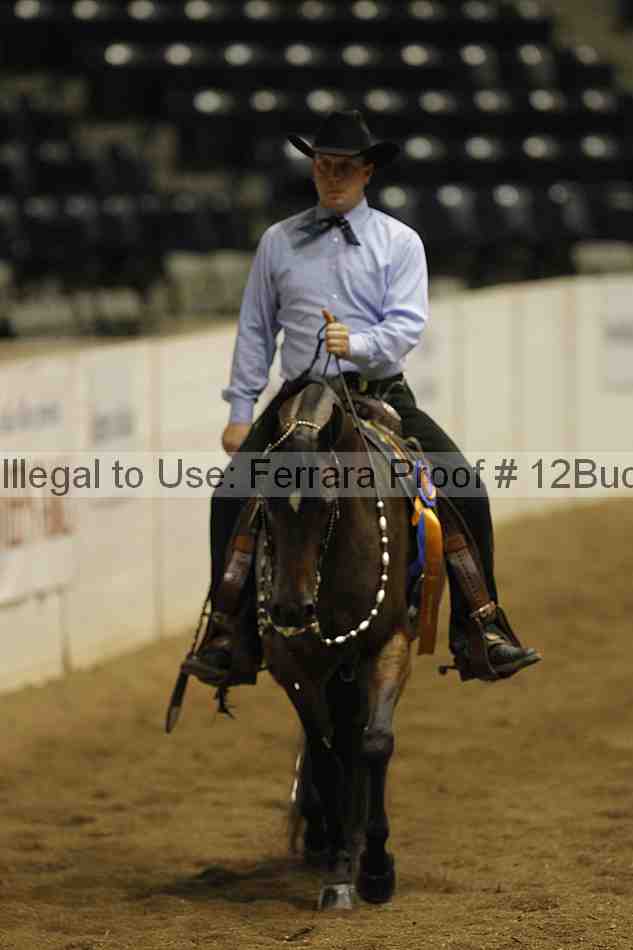 Proof 12buck_6211