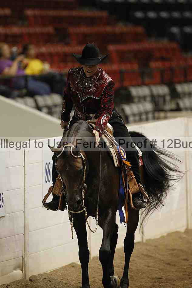 Proof 12buck_6221
