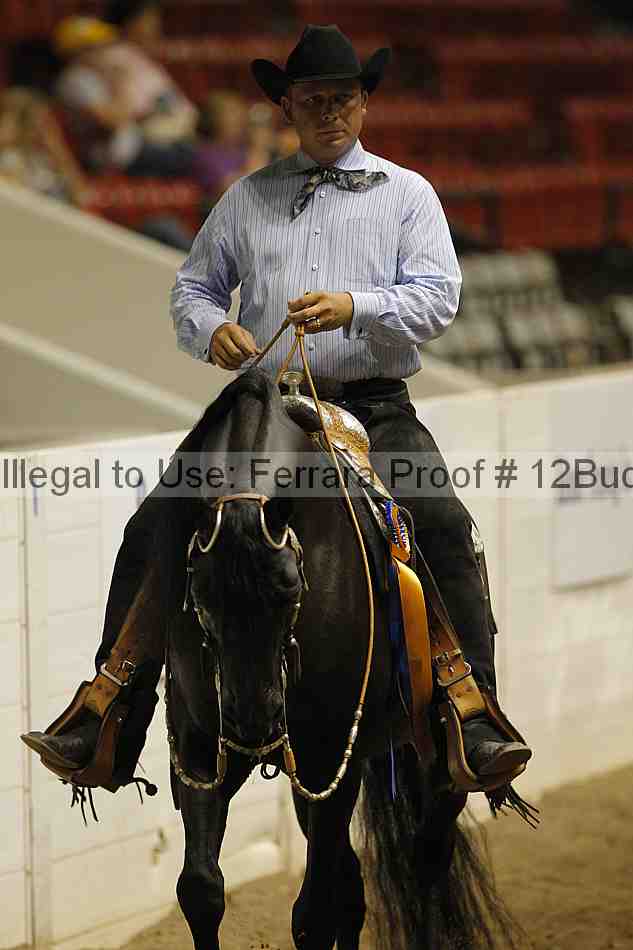 Proof 12buck_6228