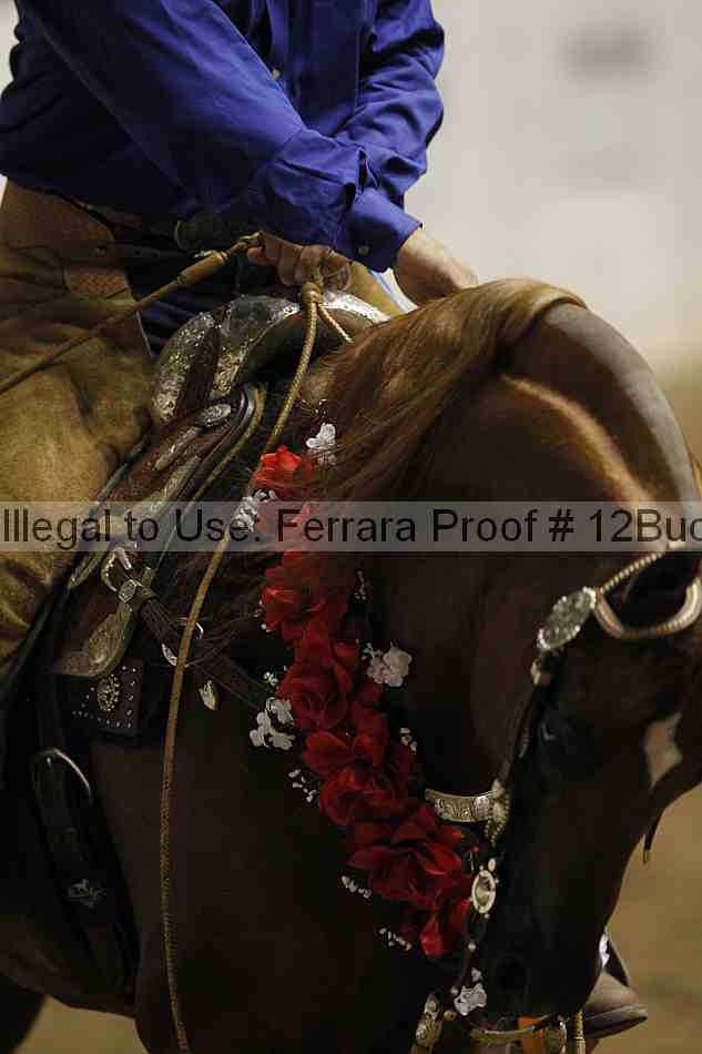 Proof 12buck_6236