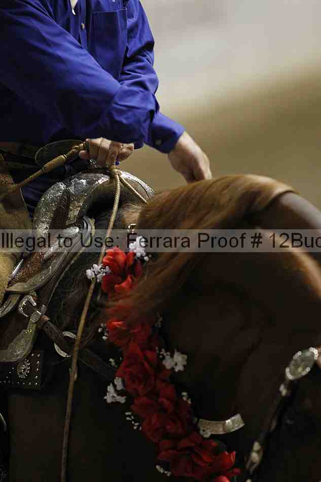 Proof 12buck_6237