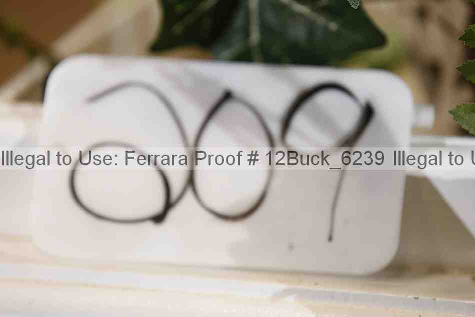 Proof 12buck_6239