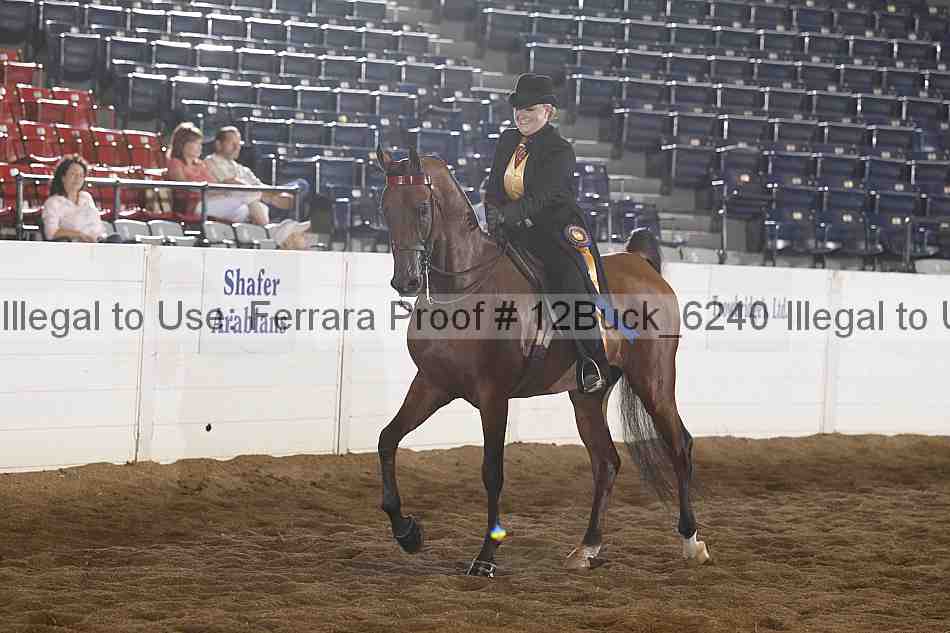Proof 12buck_6240