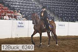 12buck_6240 proof