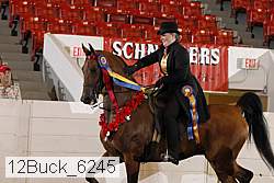 12buck_6245 proof